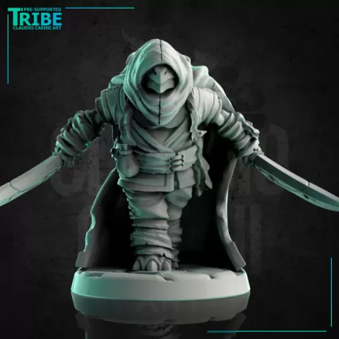 (0200) Male turtle tortle folk Rogue Thief with two knives and cape by Claudio Casini Art