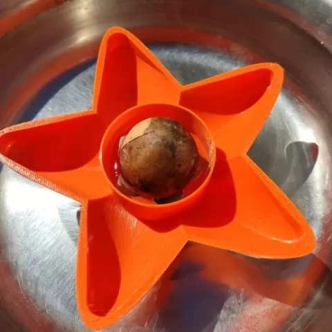 FLOATING AVOCADO SPROUTER