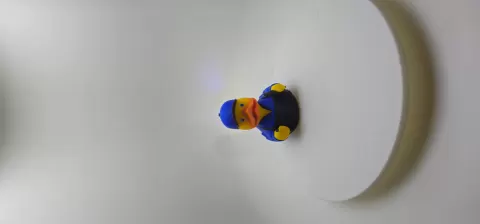 Plumber Duck