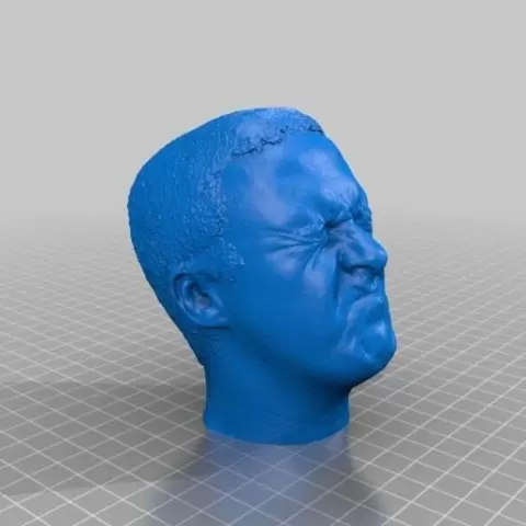 Squinty Head Scan