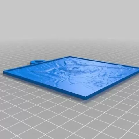 Grumpy Cat Lithopane