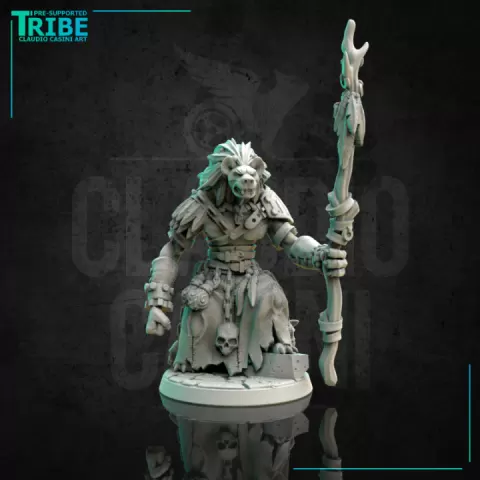 (0173) Male shaman wizard sorceror gnoll by Claudio Casini Art