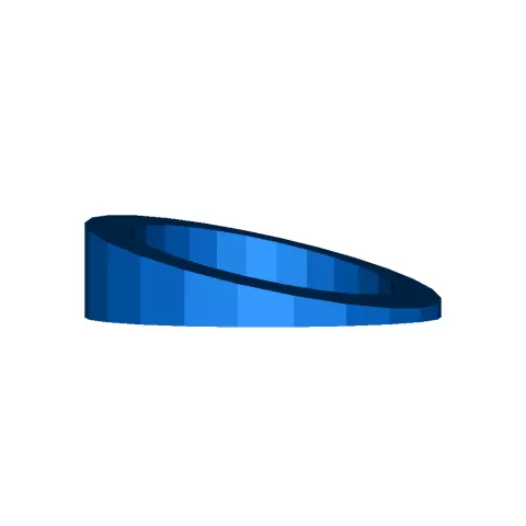 Ring wedge - Singler744
