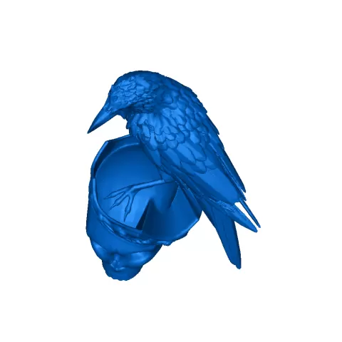 crow - art crazy69
