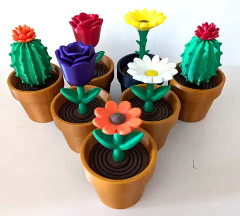 Springy Flower Collection