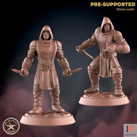 Rogue Two Models by My3DPrintForge
