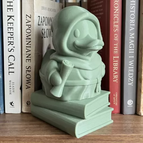 The Medival Duck 🧙‍♂️🦆