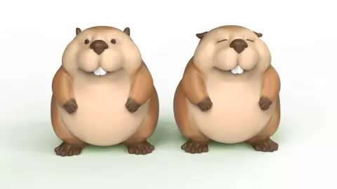 Cute Beaver 2 Type