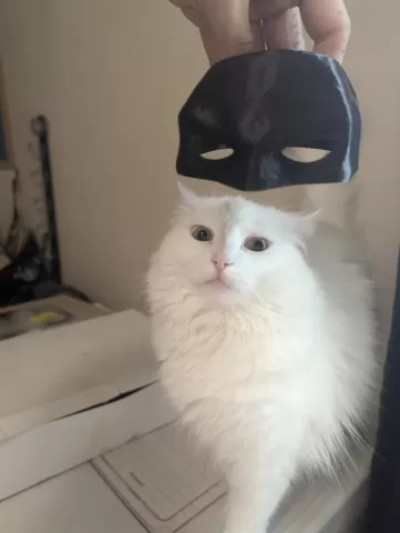Bat Cat Batman Mask Even Easier