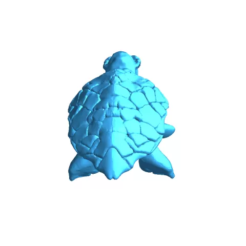 surfing turtle - SH1FT3R