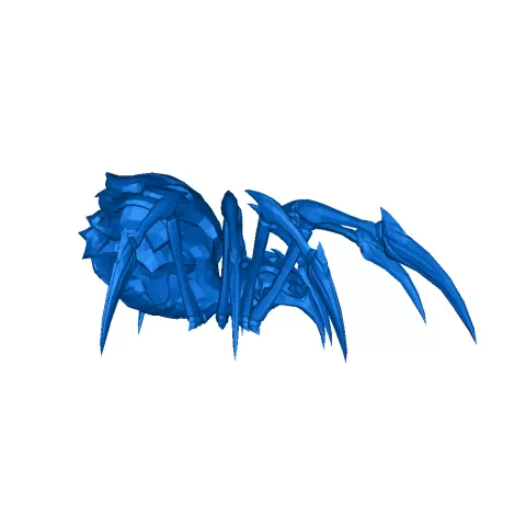 spider - Maulus