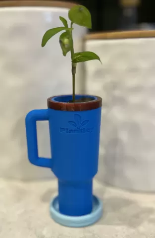 Plantley - MJ Prints
