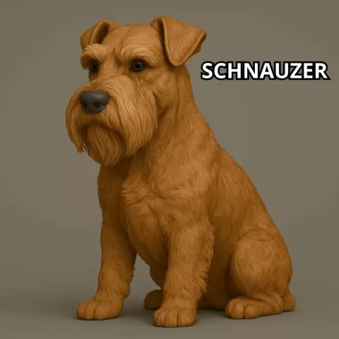 Schnazuer - NicoToons