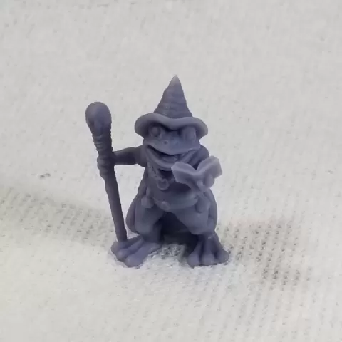 Frog Wizard by Clay Rade
