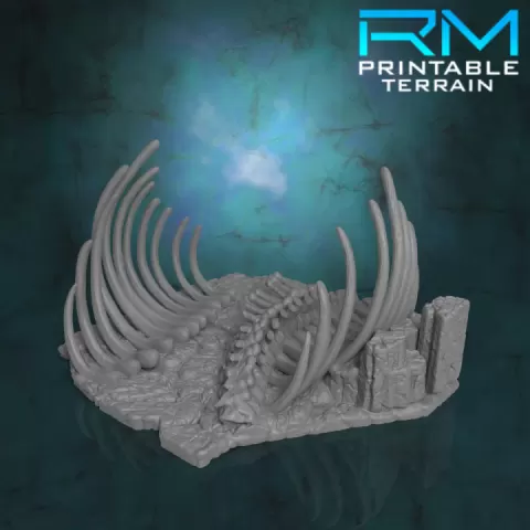 Stormguard Undone: Biringan Decayed Ribs by RMPrintable
