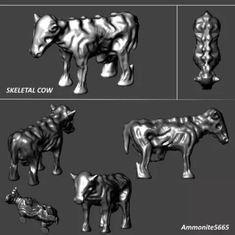 Skeletal Cow