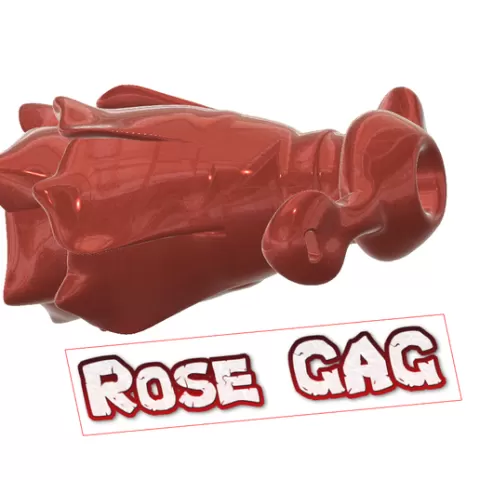 Gag ROSE SEXY SLAVE Open Mouth Hollow Gag BDSM SM bondage mg-16 3d print