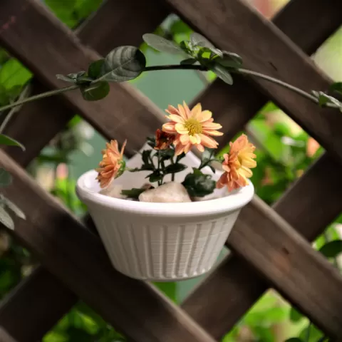 Flatback Planter by Clockspring