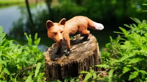 Red fox - "kozo"