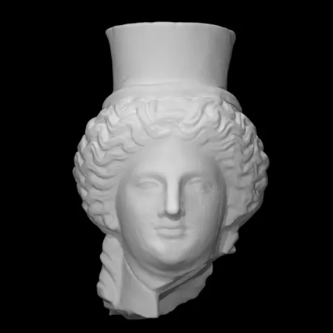 Head with polos by Scan The World