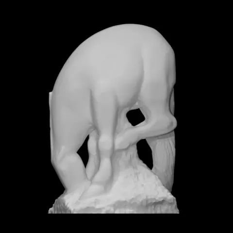 Horse by Scan The World