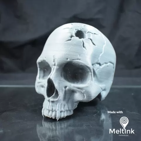 Vampire Skull by Tanya Wiesner