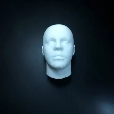 Human Head More detailed by Dan