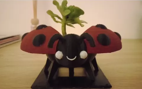 Ladybug Plant Pot - Only 3D Prints