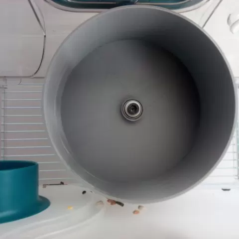 ultra silent hamster wheel