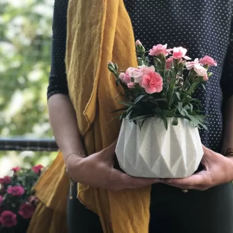 CRYSTAL SHAPED POTs (2 IN TOTAL)