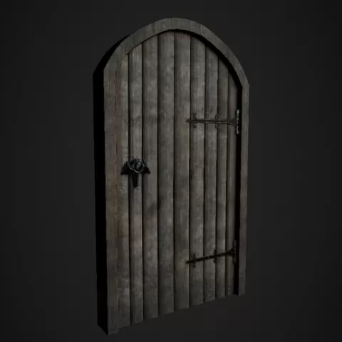 Medieval Door
