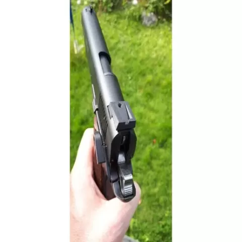 Rear sight for 1911-22