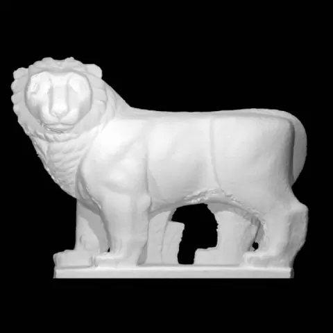 A Lion by Scan The World