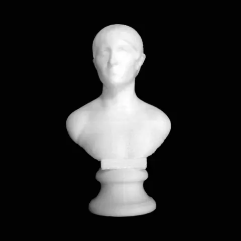 Bust of a Young Roman at The State Hermitage Museum, St Petersburg by Scan The World