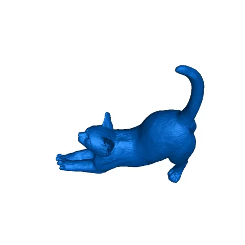 Cat stretch - Djmarvel
