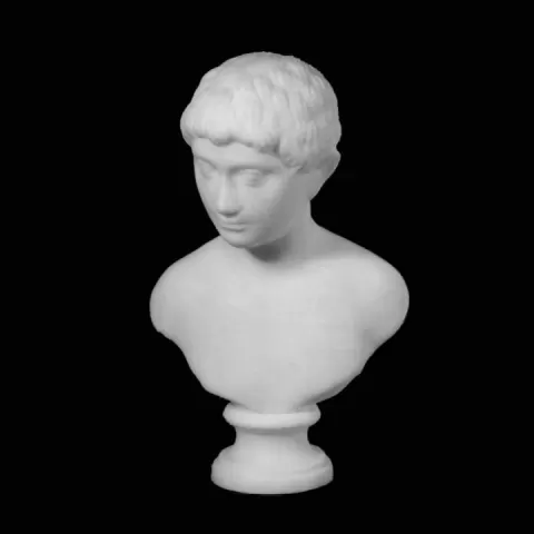 Portrait of a Boy at The State Hermitage Museum, St Petersburg by Scan The World