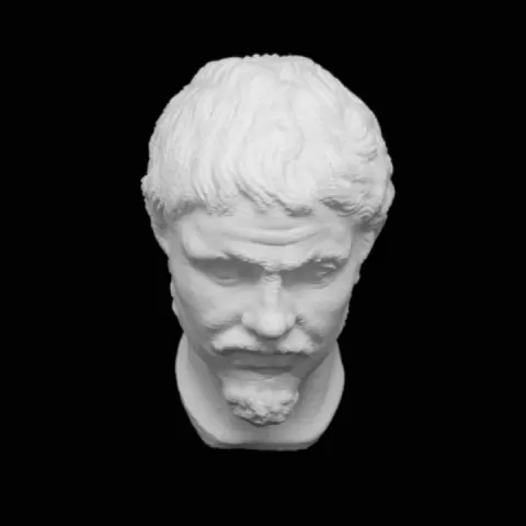Head of a Barbarian at The State Hermitage Museum, St Petersburg by Scan The World
