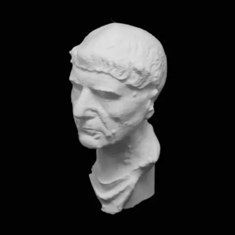 Bust of a Man at The Getty Villa, Los Angeles by Scan The World