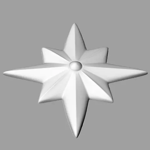 Compass Rose Star + Mussel