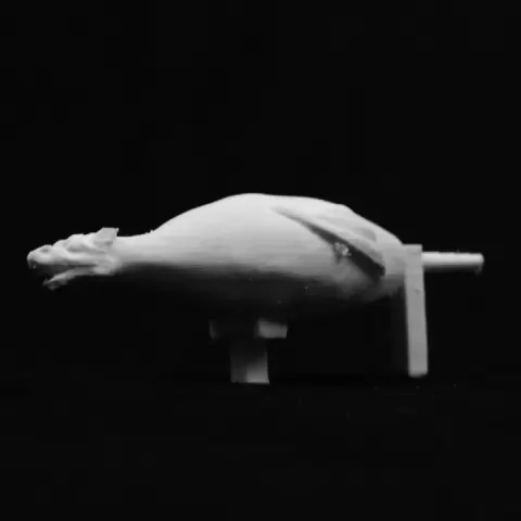 'Snap' The Norwich Dragon at The Castle Museum, Norwich by Scan The World