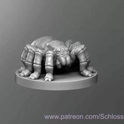 Spider