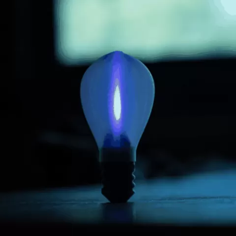 Light Bulb