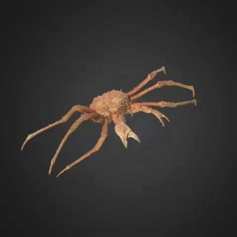 King Crab