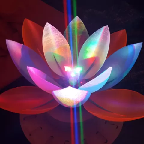Servo Flower