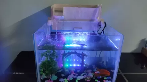 Aquarium Top/Hanging Filter - QuantumModes
