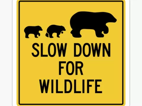 Panneau "Slow Down For Wildlife"