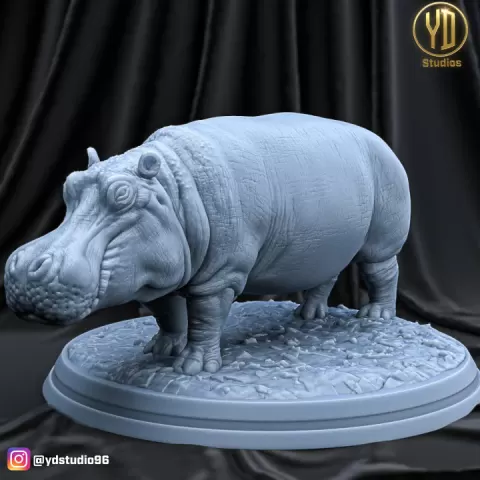 HIPPOPOTAMUS by YD STUDIO