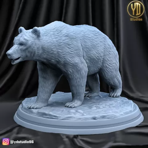 BEAR by YD STUDIO
