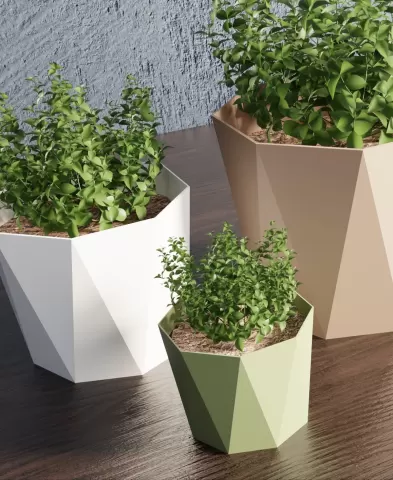 PolyFacet Pots – Low-Poly Planter Set