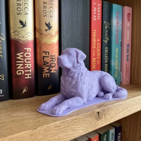 Anatolian Shepherd - Bookend 📚🐕✨